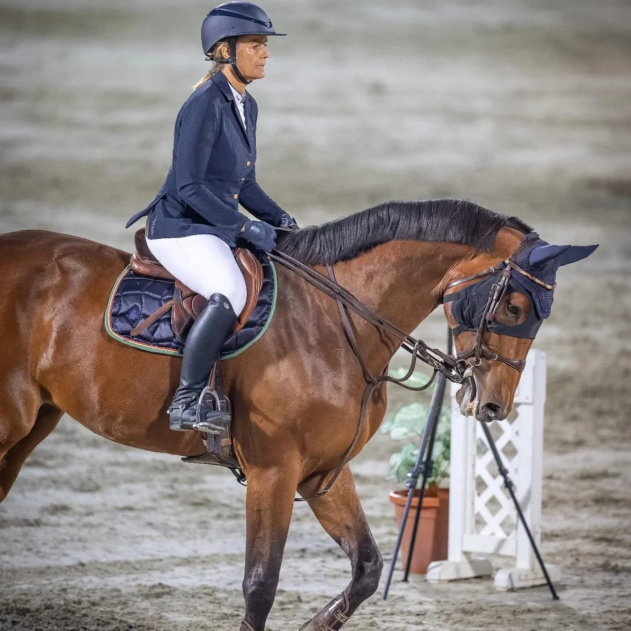 Frauen reiten auf einem Pferd von Sattelberatung Barbara Pamperl-Zichtl