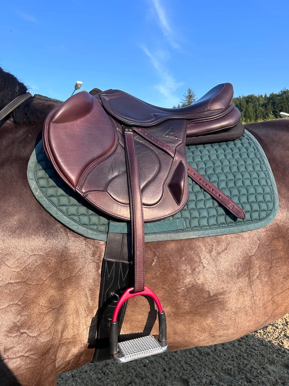 Sättel von Sattelberatung Barbara Pamperl-Zichtl