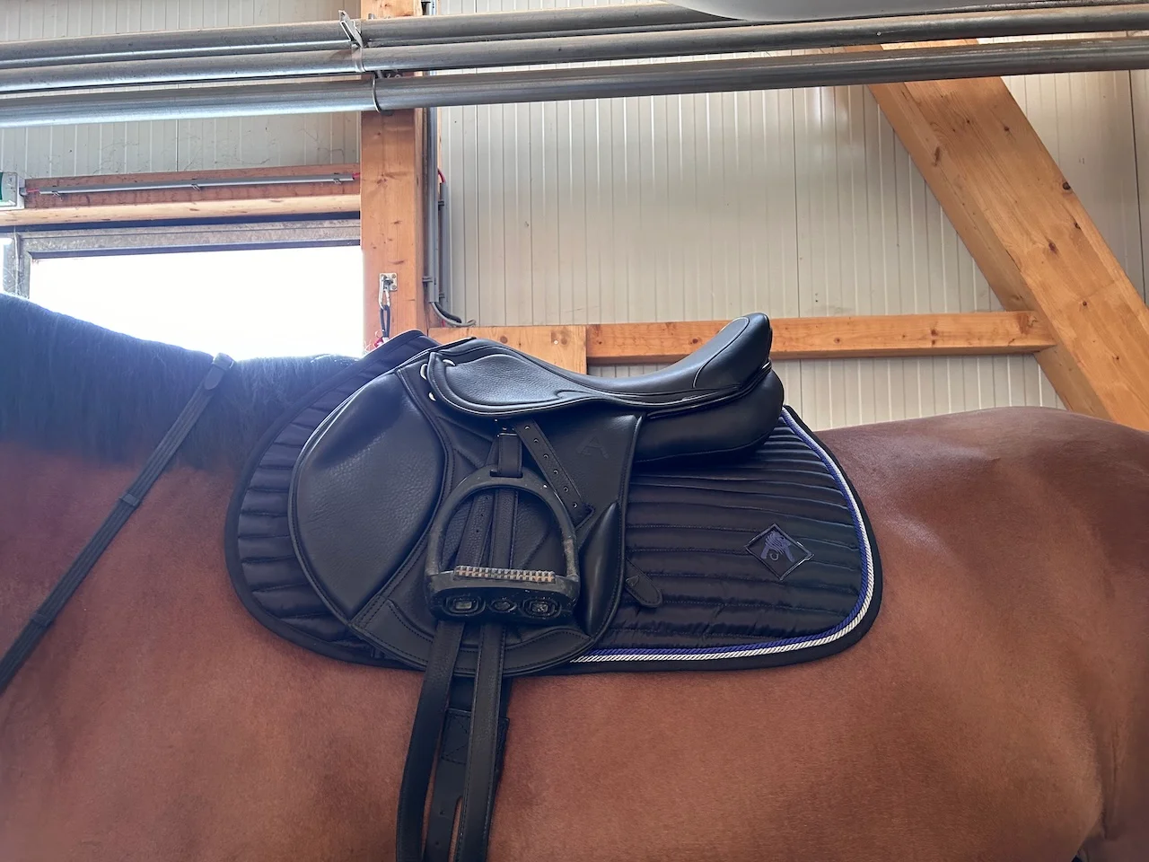 Sättel von Sattelberatung Barbara Pamperl-Zichtl