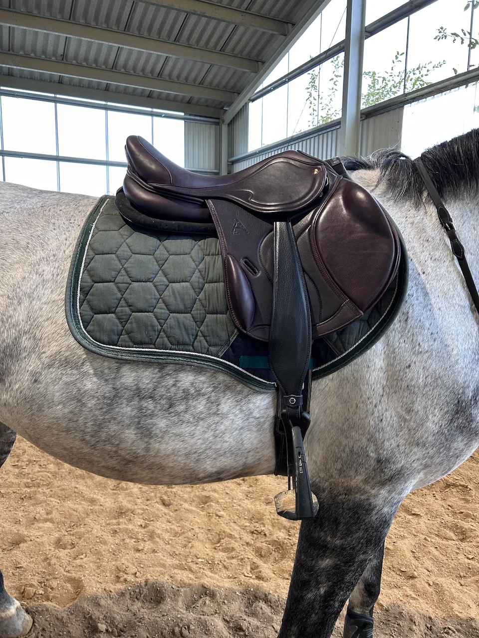 Sättel von Sattelberatung Barbara Pamperl-Zichtl