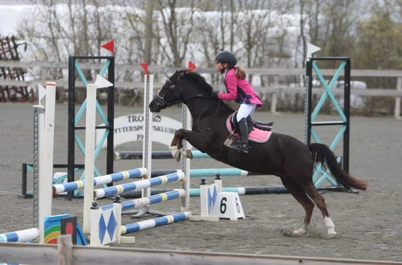 Asaddles Pony von Sattelberatung Barbara Pamperl-Zichtl