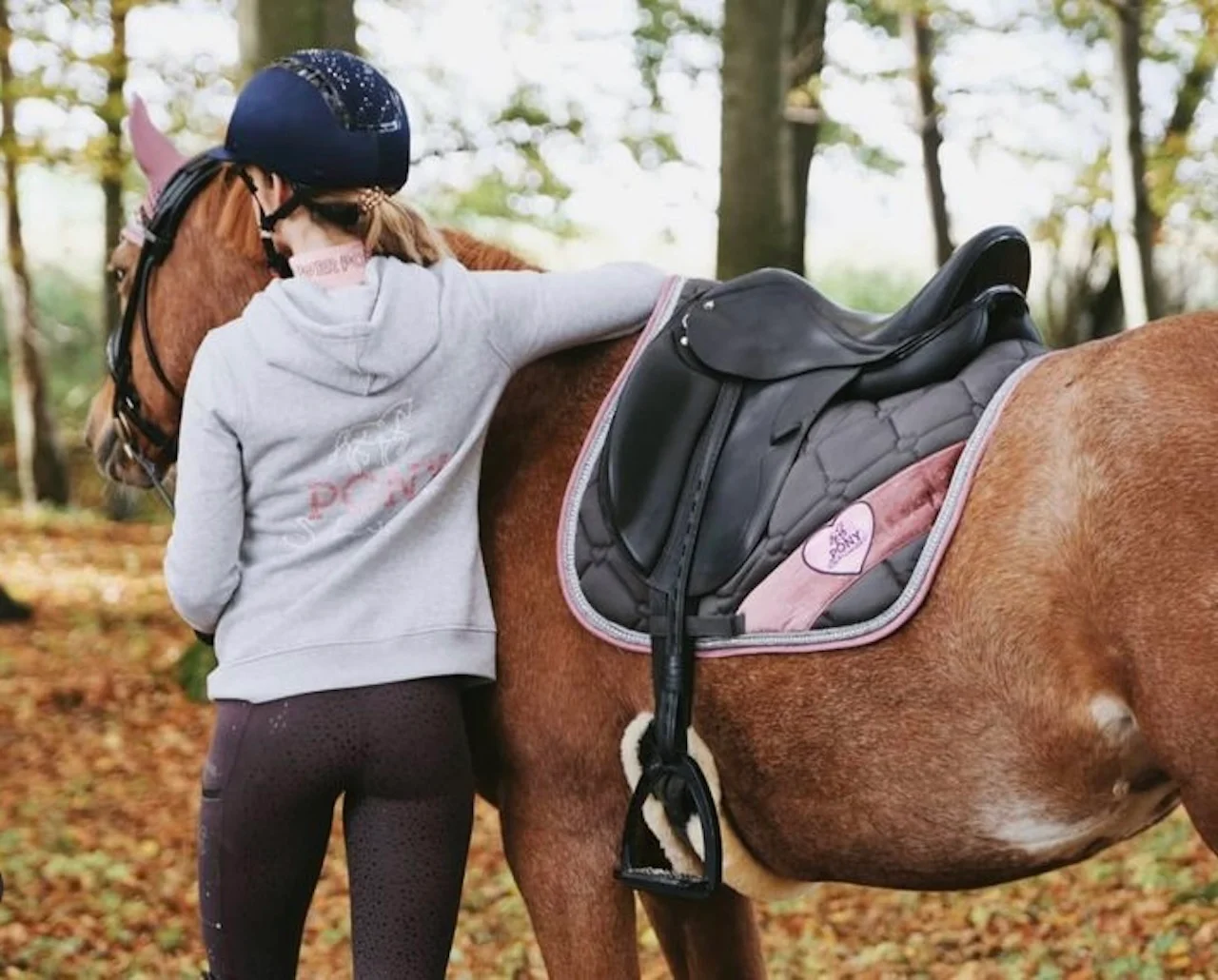 Asaddles Pony von Sattelberatung Barbara Pamperl-Zichtl