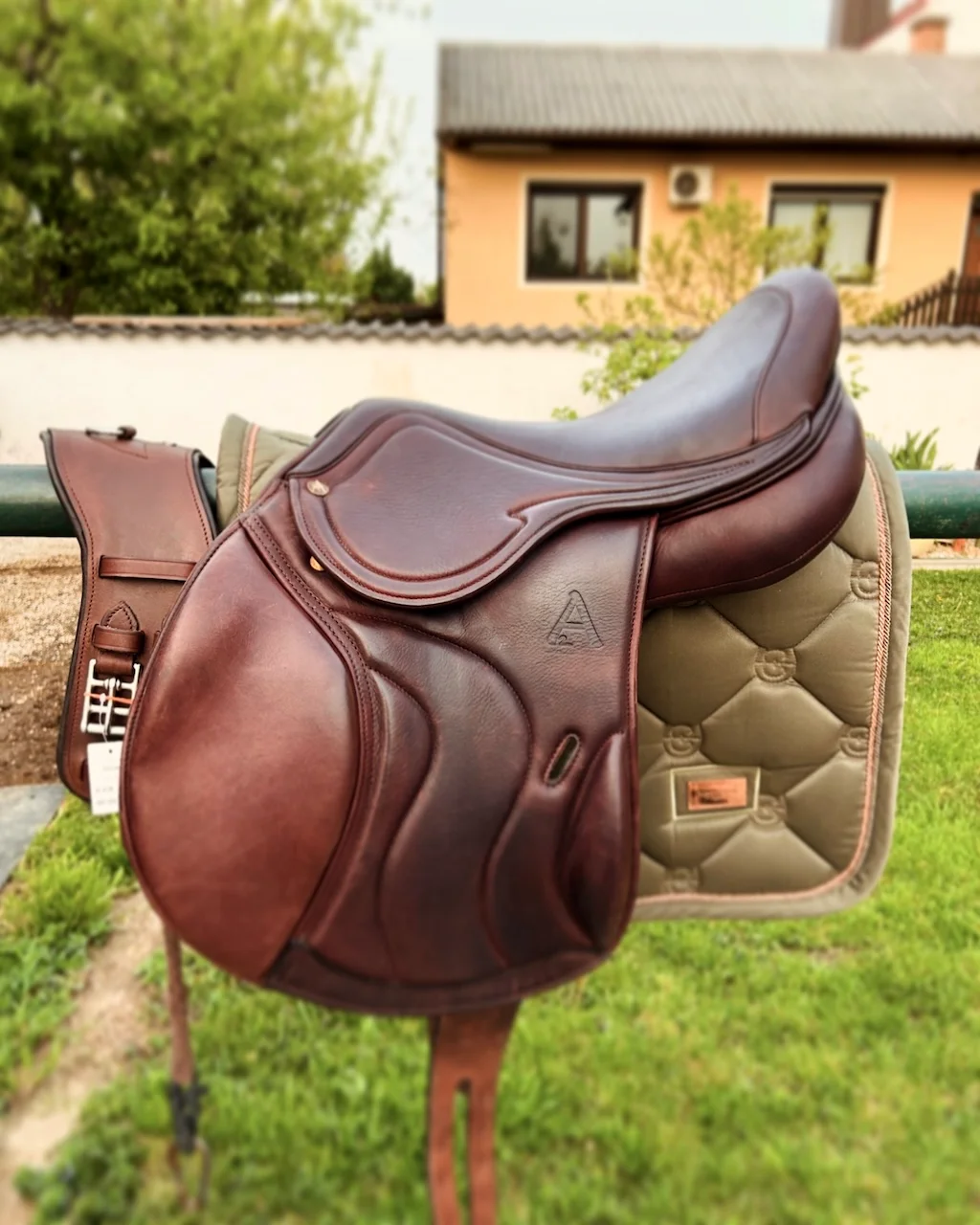 Asaddles Pony von Sattelberatung Barbara Pamperl-Zichtl