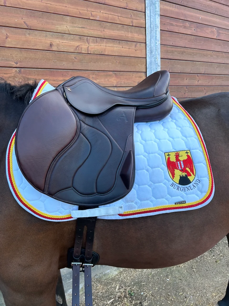 Asaddles Pony von Sattelberatung Barbara Pamperl-Zichtl