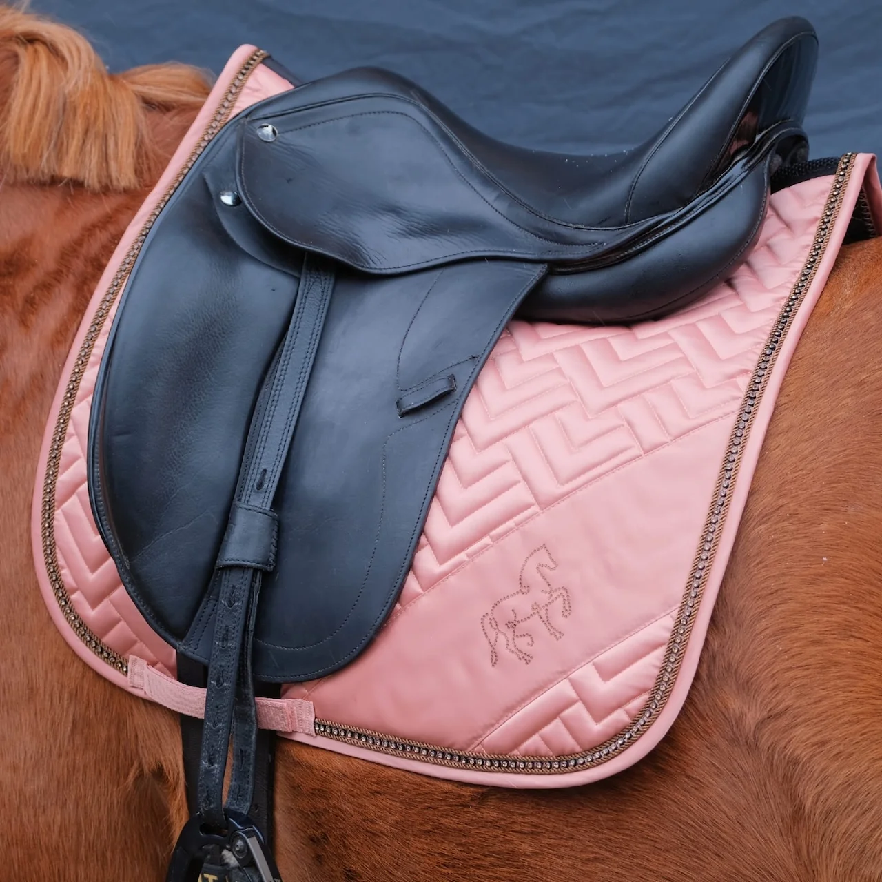 Asaddles Pony von Sattelberatung Barbara Pamperl-Zichtl