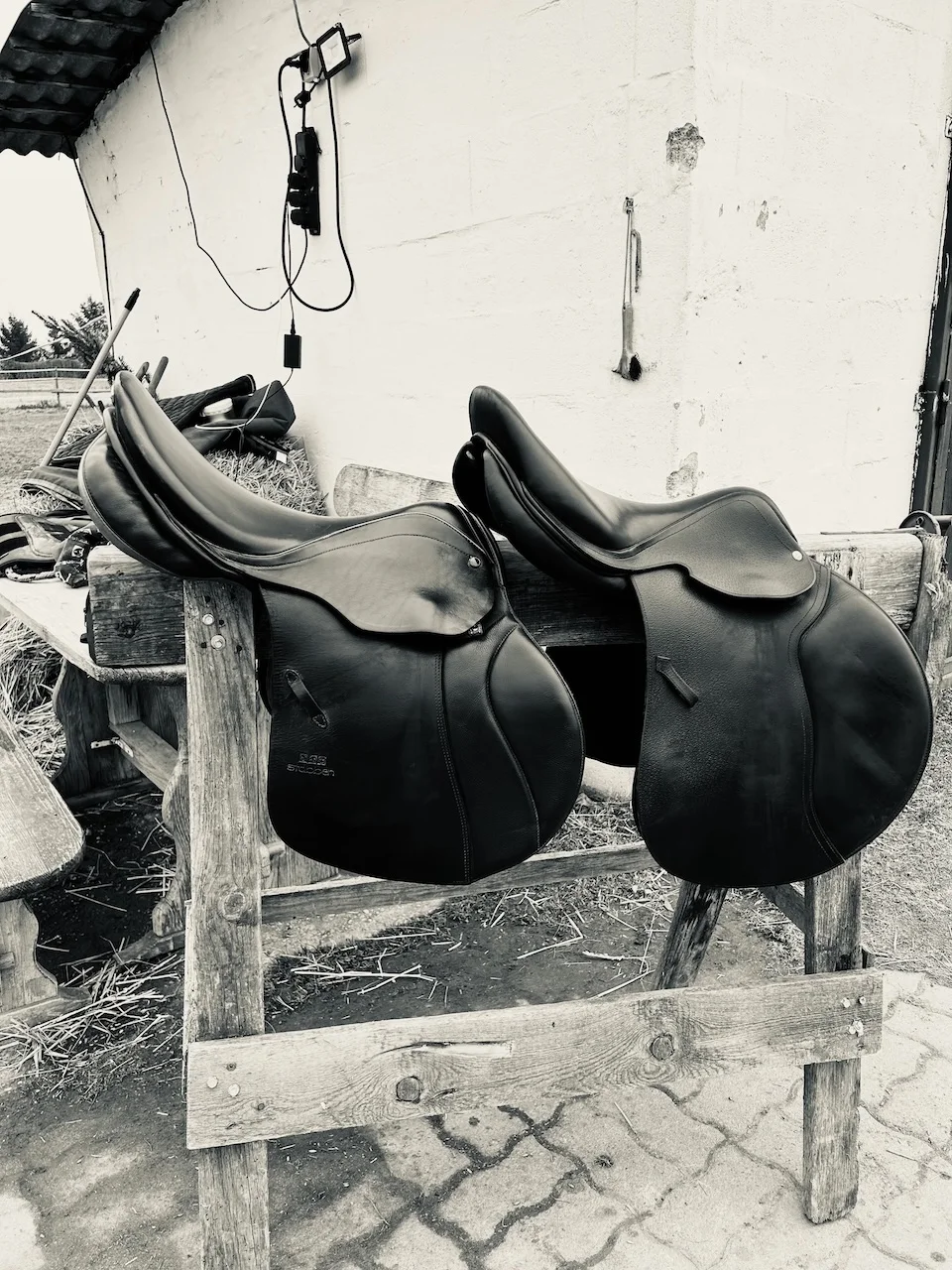 Sättel von Sattelberatung Barbara Pamperl-Zichtl