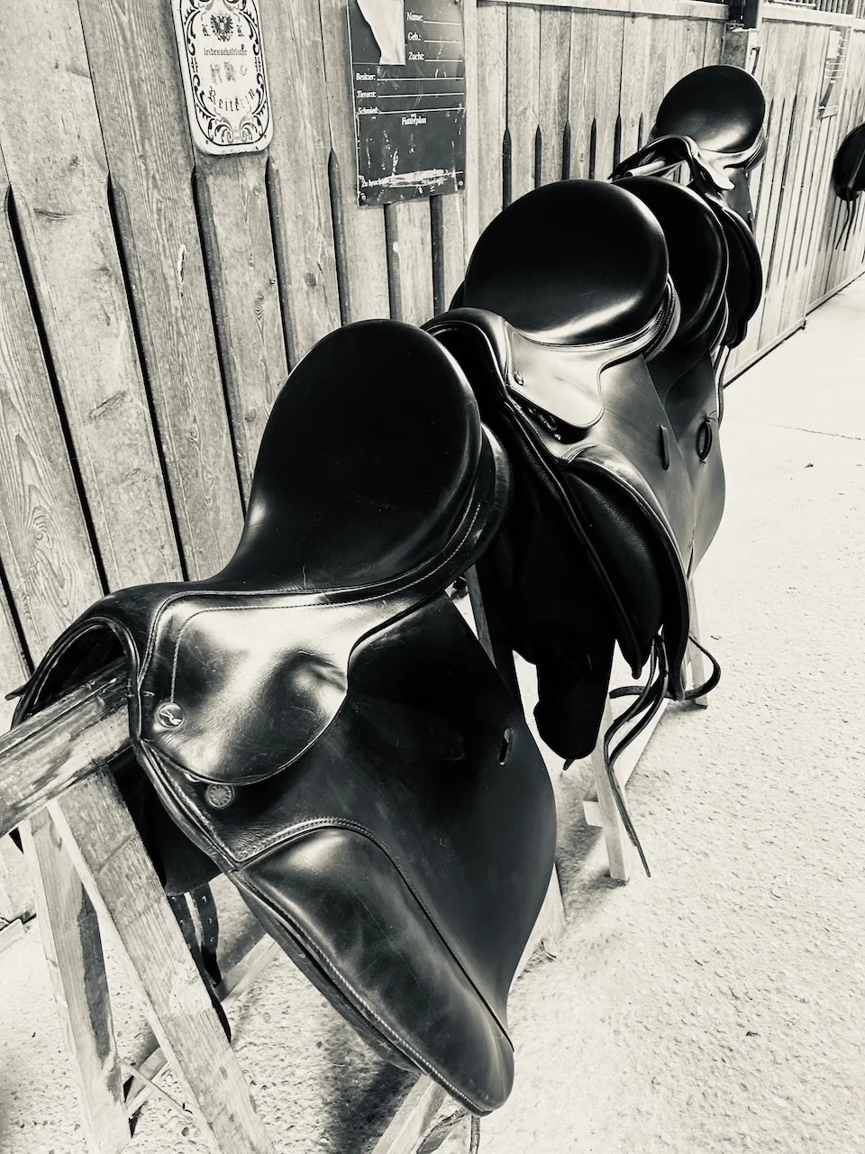 Sättel von Sattelberatung Barbara Pamperl-Zichtl